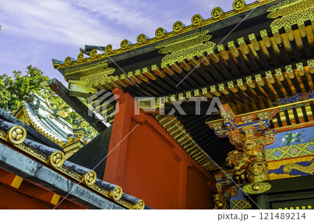 静岡 久能山東照宮 御社殿 逆さ葵 静岡県静岡市 静岡 久能山東照宮 御社殿 逆さ葵 静岡県静岡市 121489214