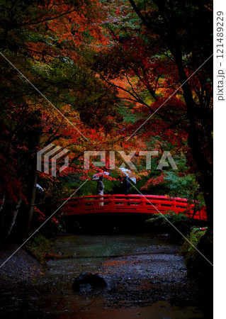 遠州森町・小國神社:赤い橋と紅葉 121489229