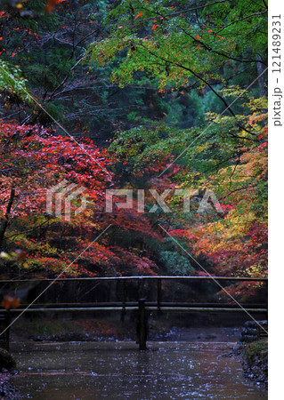 遠州森町・小國神社:池に映る紅葉 121489231