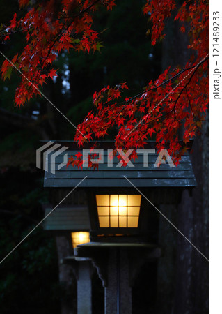遠州森町・小國神社:紅葉のある風景 121489233