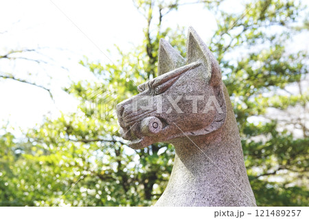 稲荷神社に鎮座する巻物をくわえたお狐様 121489257