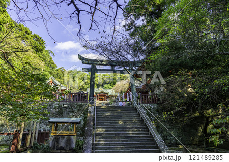 静岡　久能山東照宮　鳥居　静岡県静岡市 121489285