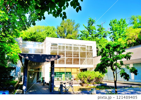 北海道大学　オープンイノベーションブ「エンレイソウ」ハ 121489405