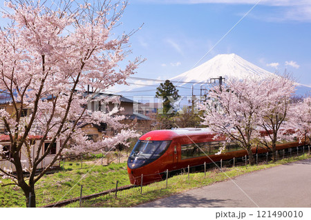 山梨県　春の桜並木と富士急行　そして富士山 121490010