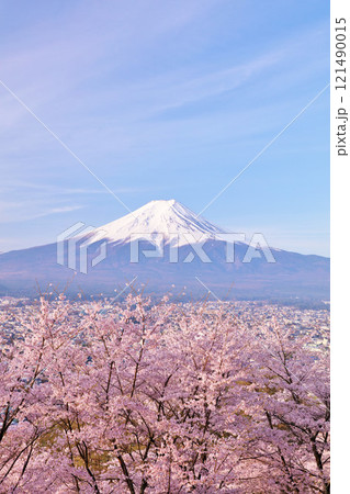 日本の春　富士山と桜 121490015