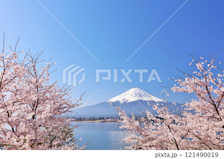 日本の春 富士山と桜 日本の春 富士山と桜 121490019
