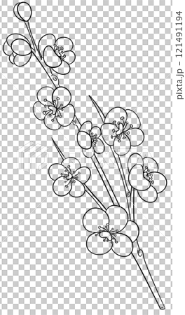 Cherry blossom Coloring Page Cherry blossom Coloring Page 121491194