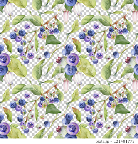 Blackberry blueberry, white bell flowers, green leaves, hand drawn in watercolor, forest berry on branches. Seamless pattern isolated illustration for restaurant, cafe menu, wedding, farmers market. 121491775