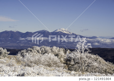厳冬の霧ケ峰高原から朝日に輝く樹氷と浅間山 厳冬の霧ケ峰高原から朝日に輝く樹氷と浅間山 121491864