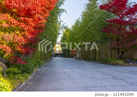 京都　真っ赤に色づいたモミジと豊国廟参道（女坂） 121491899