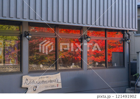 京都　真っ赤に色づいたモミジと豊国廟参道（女坂） 121491902