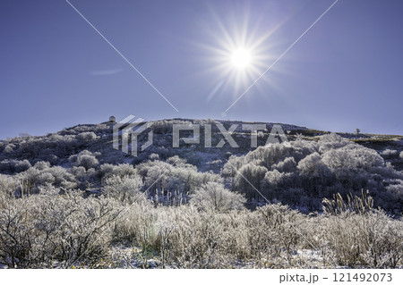 厳冬の霧ケ峰高原から朝日に輝く樹氷と車山 121492073