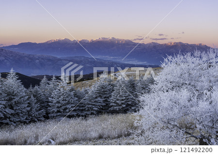 夜明けの霧ケ峰高原から中央アルプスをピンク色に染めるモルゲンロート 121492200