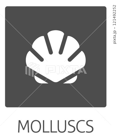 Seashell Shell Clam Mollusc Seafood Food Icon 121492252