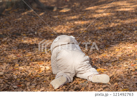 【落ち葉で敷き詰められた冬の公園で遊ぶ1歳児 座る】 【落ち葉で敷き詰められた冬の公園で遊ぶ1歳児 座る】 121492763