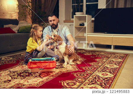 Caring moment. Little girl carefully feeding pet, playing role game with her father in cozy living room in the evening. Pretending to be a vet doctor Caring moment. Little girl carefully feeding pet, playing role game with her father in cozy living room in the evening. Pretending to be a vet doctor 121495883