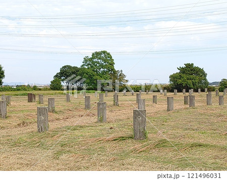 史跡出雲国分寺跡、島根県松江市、奈良時代の聖武天皇が造らせた官営の寺 121496031
