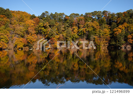 紅葉と朝の風景 121496899