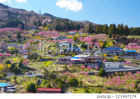 東秩父村・大内沢花桃の郷 東秩父村・大内沢花桃の郷 121497174