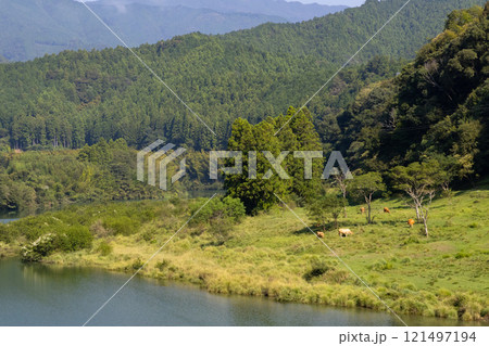 土佐赤牛牧場 121497194