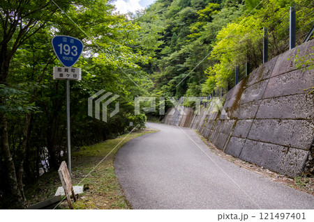 【国道193号】渓谷沿いを走行する国道 121497401