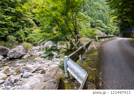 【国道193号】渓谷沿いを走行する国道 121497413