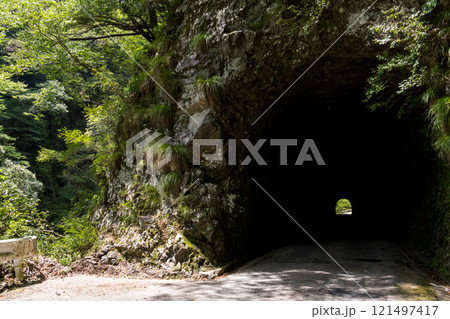 【国道193号】渓谷沿いの素掘りのトンネル 121497417