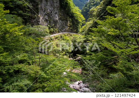 【国道193号】渓谷沿いを走行する国道 121497424