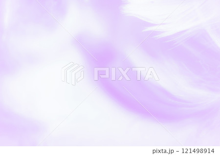 羽根・ふんわり 背景素材 121498914