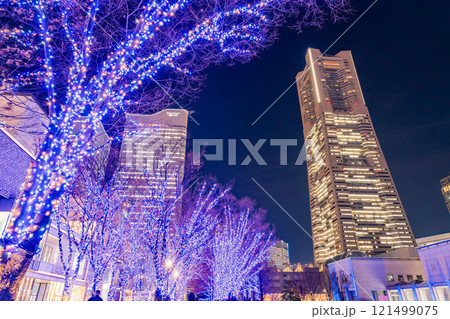 【神奈川県】横浜みなとみらい・グランモール公園のイルミネーション 121499075