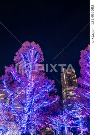 【神奈川県】横浜みなとみらい・グランモール公園のイルミネーション 121499092