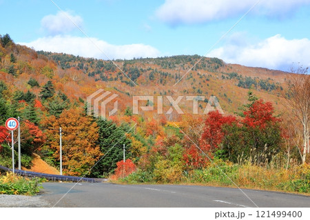紅葉に染まる八幡平アスピーテライン 紅葉に染まる八幡平アスピーテライン 121499400