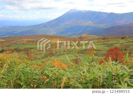 紅葉に染まる八幡平アスピーテライン 121499553