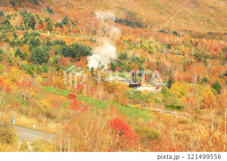 紅葉に染まる八幡平アスピーテライン　 121499556