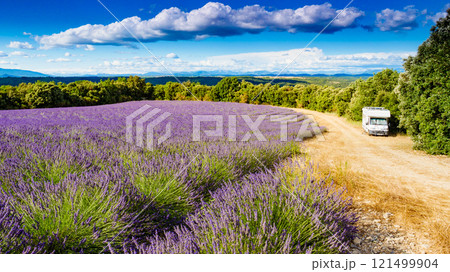 Caravan camping at lavender field, France 121499904