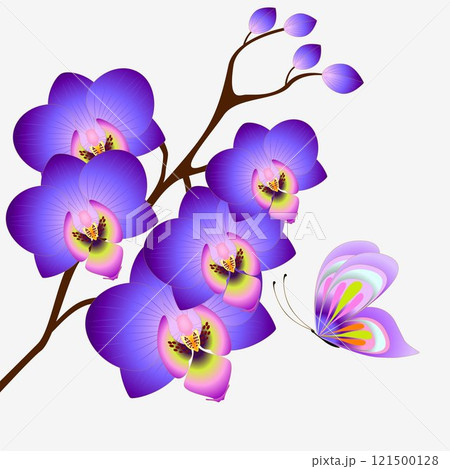 Floral background with orchids and butterfly, design element. 121500128
