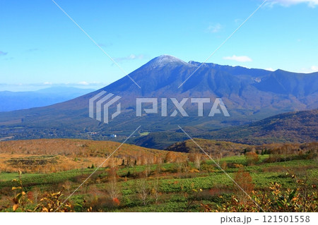 紅葉に染まる八幡平アスピーテラインと岩手山 121501558
