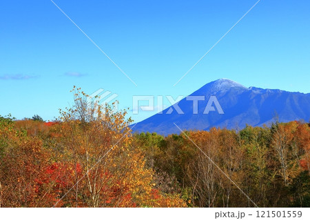 紅葉に染まる八幡平アスピーテラインと岩手山 121501559