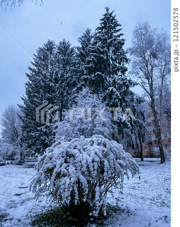 Beautiful winter landscape with snow covered trees in the city park. Beautiful winter landscape with snow covered trees in the city park. 121502578