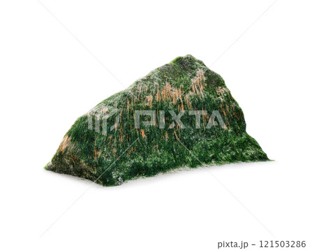 sea stone with algae isolated on white background 121503286