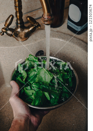 Hand Washing Fresh Spinach over Sink in Kitchen 121503674