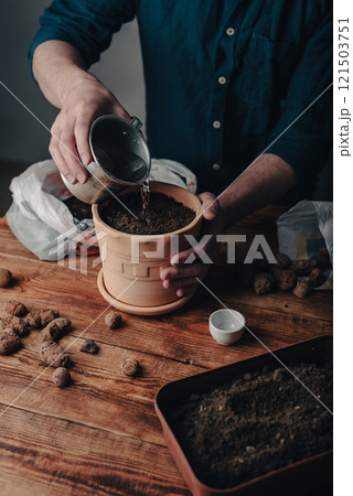 Man Pouring Water into Clay Pot with Fresh Sowed Herb Seeds 121503751