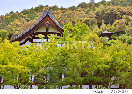 永観堂の鶴寿台 121504878