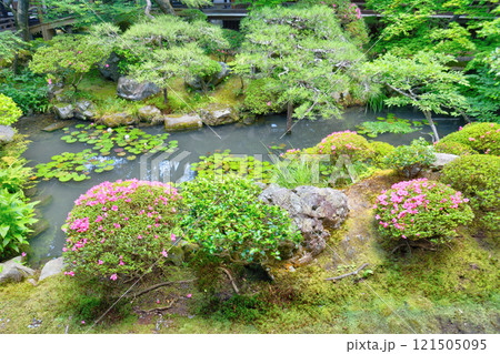 永観堂の庭 121505095