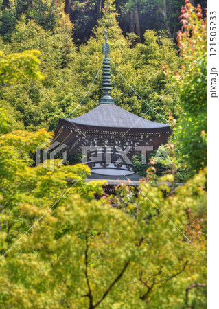 永観堂の多宝塔 121505233