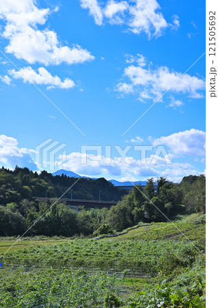 田舎風景　初秋の薄根川沿いの眺め　　沼田市　　 121505692