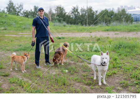 A Caucasian man walks with three dogs. Dog walker. 121505795