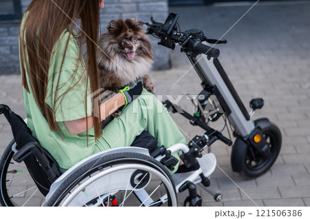 A woman in a wheelchair with a hand-control assist device carries a Spitz merle dog. Electric handbike. A woman in a wheelchair with a hand-control assist device carries a Spitz merle dog. Electric handbike. 121506386
