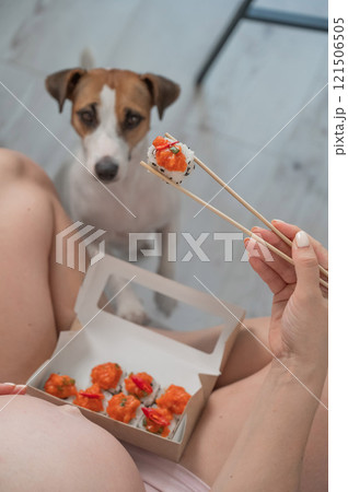 A pregnant woman sits on the sofa and eats rolls. Jack Russell Terrier dog sits on the floor and begs for food from its owner. A pregnant woman sits on the sofa and eats rolls. Jack Russell Terrier dog sits on the floor and begs for food from its owner. 121506505