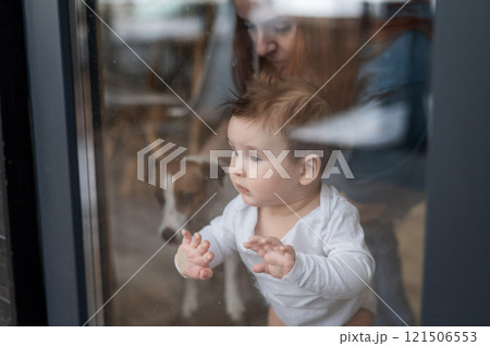 Cute baby boy and Jack Russell terrier dog looking through the patio window.  121506553